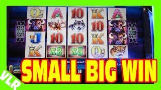 BUFFALO DELUXE - SMALL BIG WIN - Slot Machine Bonus