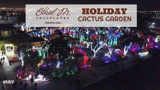 Christmas in Vegas Pt  3 -  Ethel M's Holiday Cactus Garden