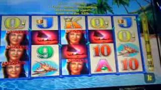 Aloha Paradise slot machine bonus