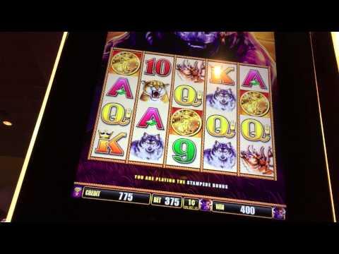Buffalo slot machine free game bonus