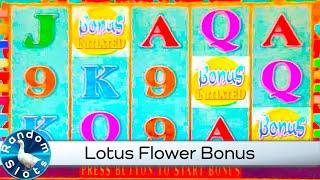 Lotus Flower Slot Machine Bonus