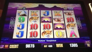 Wonder 4 Slot Machine-Buffalo Bonus-the Bad & The Good!