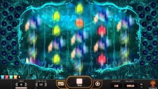 Magic Mushrooms• slot game by Yggdrasil | Gameplay video by Slotozilla