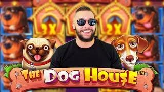 Top 5 BIG WIN in The Dog House slot