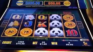 $1 25 dragon cash panda live pay