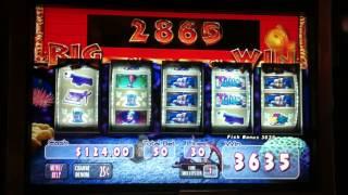 GoldFish 2 Slot Machine Bonus