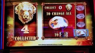 Buffalo Gold Slot Machine Bonuses With $4.8 and $7.2 Bet !! 4 Time Bonus Win