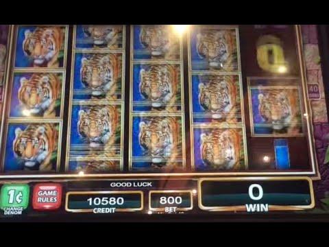 Temple of the Tiger   Live Play   Double or Nothing   Max Bet $8 ** SLOT LOVER **