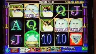 $9/Spin! Kitty Glitter BONUS Las Vegas Slot Win