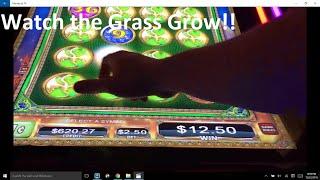 Sky Rider Play Action with many Bonus Features