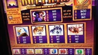Buffalo Slot Free Spins Bonus Big Win -Aristocrat