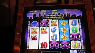 Miss Kitty Slot Bonus