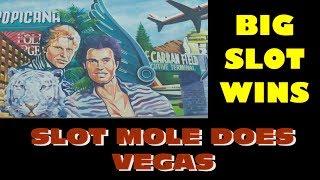 Slot Mole: Does Vegas!  Huge Wins!