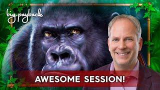 Fort Knox Majestic Gorilla Slot - BIG WIN SESSION, COOL!