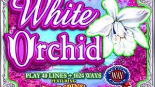 $4 Bet IGT WHITE ORCHID Multiple retriggers BIG WIN 5c Denom