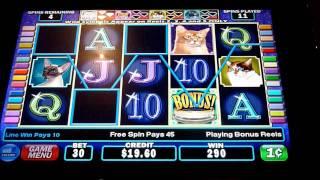 Kitty Glitter Slot Machine Bonus Win (queenslots)