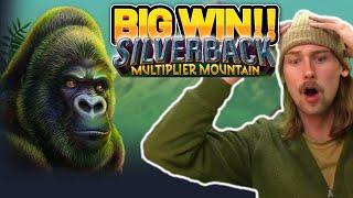 BIG WIN!! SILVERBACK MULTIPLIER MOUNTAIN BIG WIN - Casino slot win from Casinodaddy
