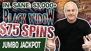⋆ Slots ⋆ IN. SANE: $3,000+ in SLOT WINS on My FAVORITE Machine ⋆ Slots ⋆ $75 SPINS on Black Widow!
