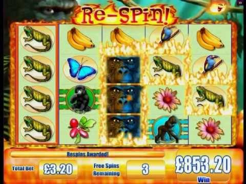 GORILLA CHIEF 2 slot game preview video. Exclusive, awesome jackpot slot from Jackpot Party