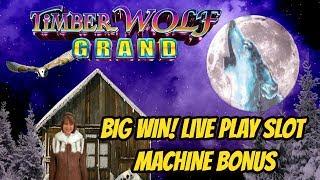 TIMBER WOLF BIG WIN SLOT MACHINE BONUS
