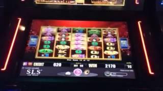 Red empress slot machine free spins