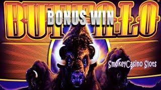Buffalo Slot Machine Bonus Win