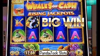 Big Win on Whales of Cash, Rising Jackpots ⋆ Slots ⋆