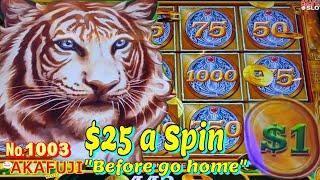 Before go home Jackpot Again⋆ Slots ⋆ MIGHTY CASH LONG TENG HU XIAO Bet $25 HANDPAY 赤富士スロット