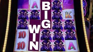 Buffalo Grand Slot Machine Max Bet MASSIVE LINE Hit | Live Slot Play w/NG Slot