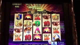 Buffalo Penny Slot Machine Nice Bonus Win