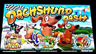 Multimedia Games - Dachshund Dash : First Look / First Attempt - 3 Bonuses on Minimum bet