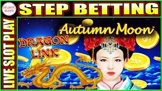 STEP BETTING TO THE END! AUTUMN MOON DRAGON LINK SLOT MACHINE