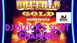 ~*** NICE WIN ***~ Buffalo Gold Slot Machine ~ LOOKING FOR GOLD! • DJ BIZICK'S SLOT CHANNEL