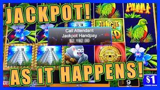 MY JUNGLE WILD JACKPOT HANDPAY and MORE!! • HIGH LIMIT SLOT PLAY • HOW JAMES BOND BROUGHT ME LUCK!