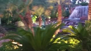 24 HOURS in VEGAS, Willy Wonka, Buffalo Gold slot play, WSOP 6/2/2017 PART 1