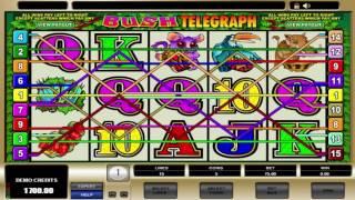 Free Bush Telegraph Slot by Microgaming Video Preview | HEX