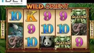 MG WildOrient Slot Game •ibet6888.com