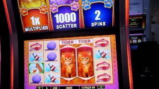 G2E - OMG!  Kittens Slot Machine!  Cute Overload Warning!  View At Your Own Risk!