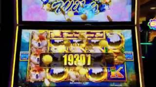 Super Huge Win New Slot ~ BIRDS OF PAY SLOT MACHINE  9 Wiled Added