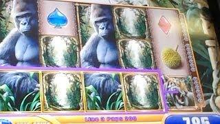 Queen of the Wild Slot Big Win Bonus Line Hit by wms