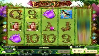 Enchanted Meadow• slot machine by Play'n Go | Game preview by Slotozilla