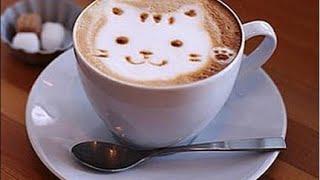 Coffee with the Cats: 03/10/2019