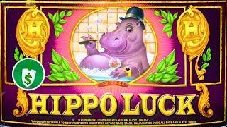 Hippo Luck slot machine, bonus