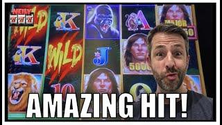 MAJOR WIN on Tarzan! What a run on the slots!