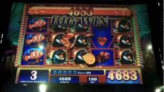 WMS - Dashing Dolphins Slot Bonus - Harrah's Casino and Racetrack - Chester, PA