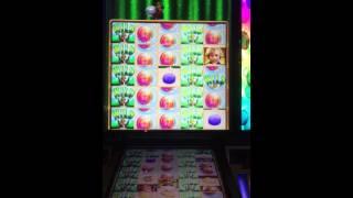 Willy Wonka pure imagination slot machine bonus