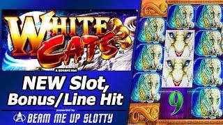 White Cats Slot - Live Play, Free Spins Bonus and Nice Line Hit