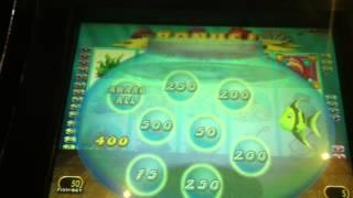 Goldfish Slot Machine Bonus
