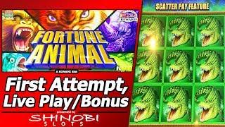 Fortune Animal Slot - Live Play, Nice Line Hit and Bonuses in New Konami game