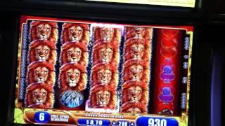 Slot Machine Bonus